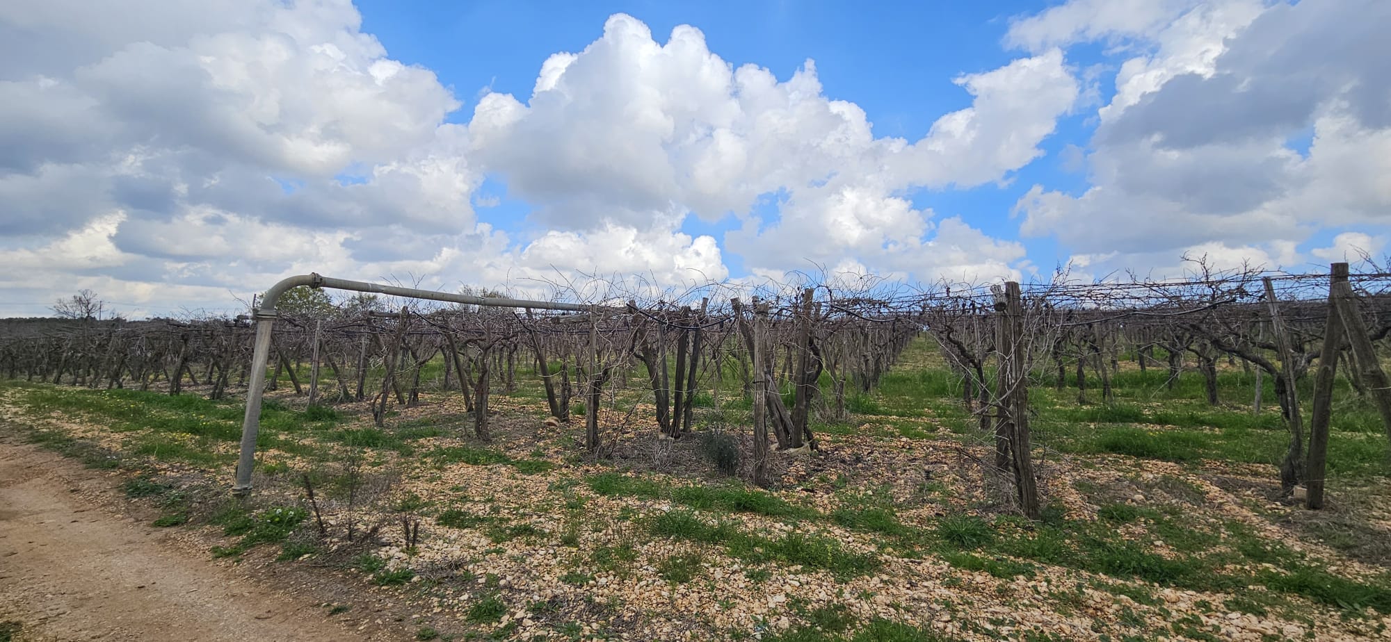 Terreno di 33.700 mq ca. con Fabbricato Rurale